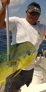 Dorado- mahi mahi fishing cancun- fishing charter in cancun